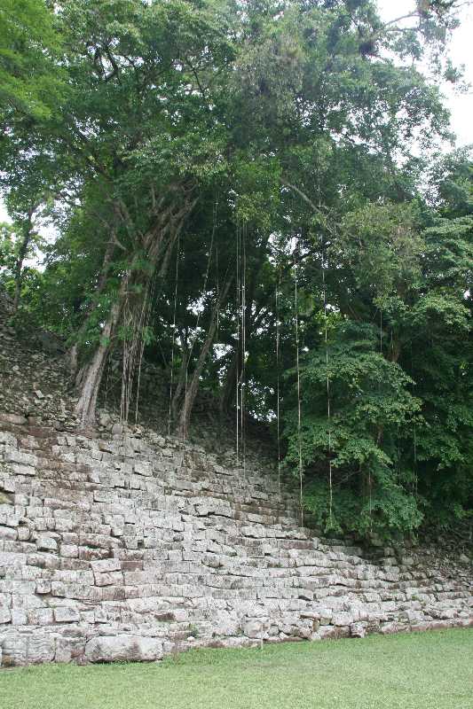 Mexico & Guatemala 2010 - 0885